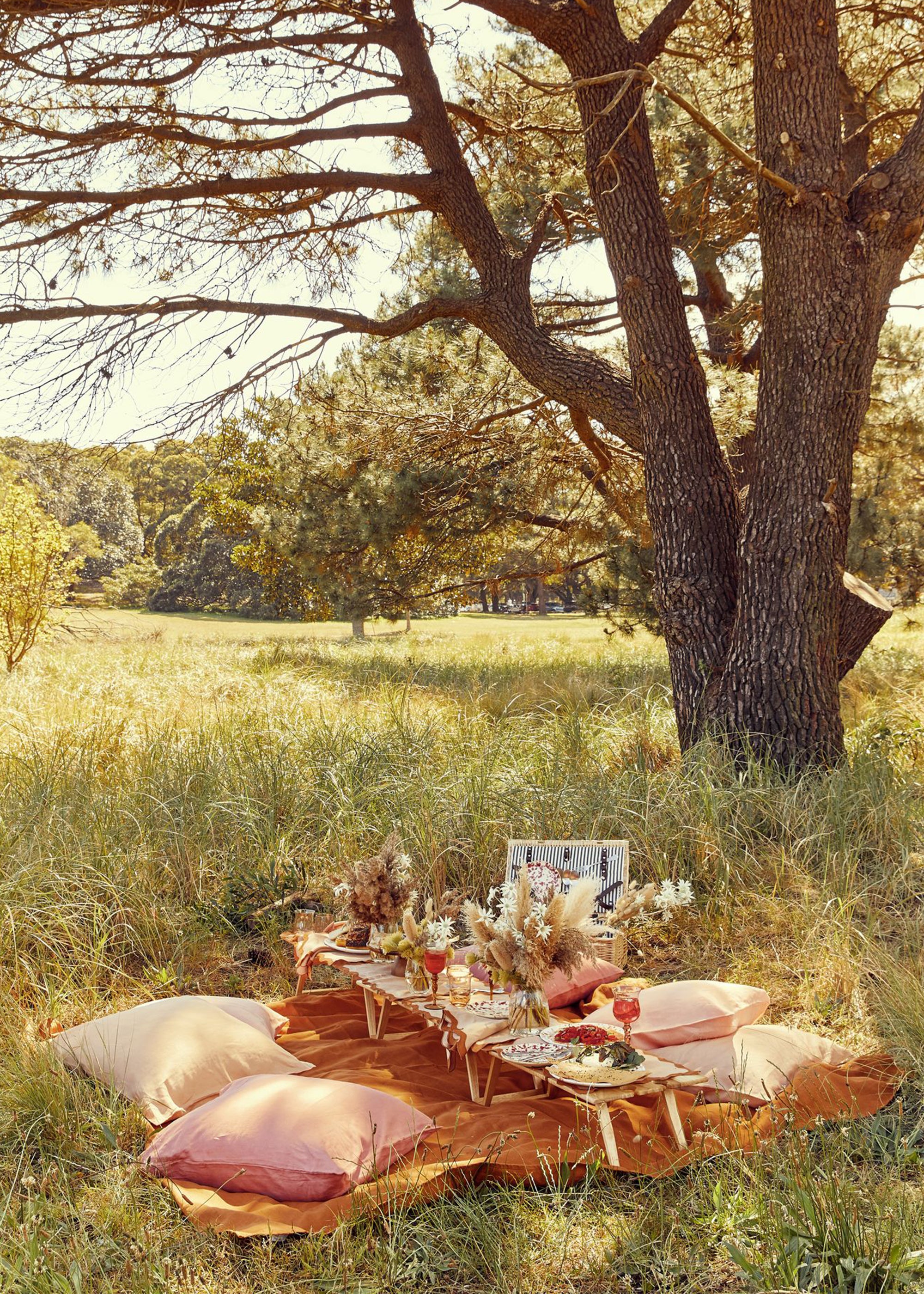 The Most Common Picnic Mistakes Everyone Makes and How to Avoid Them