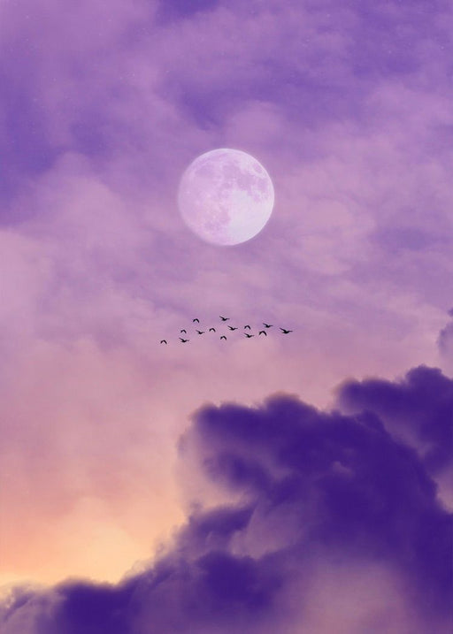 10 Things You Should (and Shouldn't) Do During a Full Moon