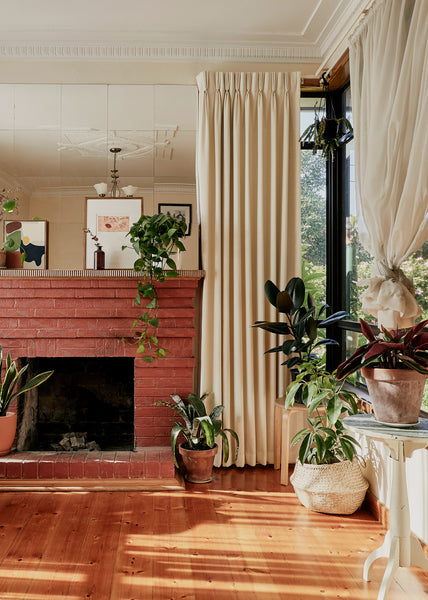 Try This Trending Pinterest Hack to Keep Your Houseplants Thriving