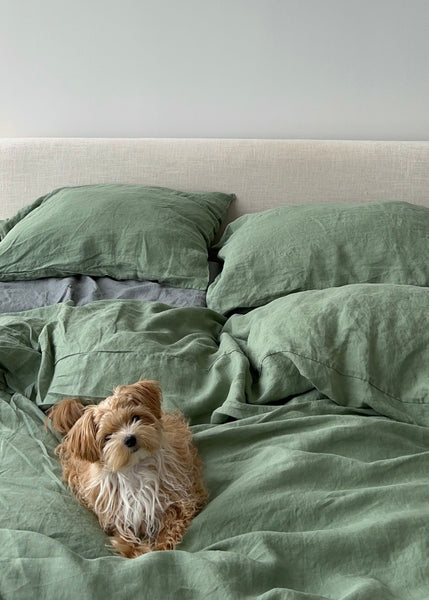 How to Make Your Pet’s Bed Less of an Eyesore