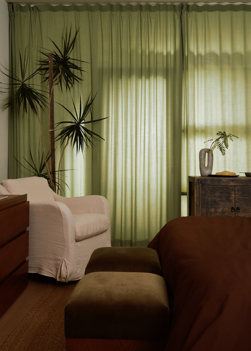 5 Easy Ways to Give Your Indoor Plants Some Extra Love This Winter