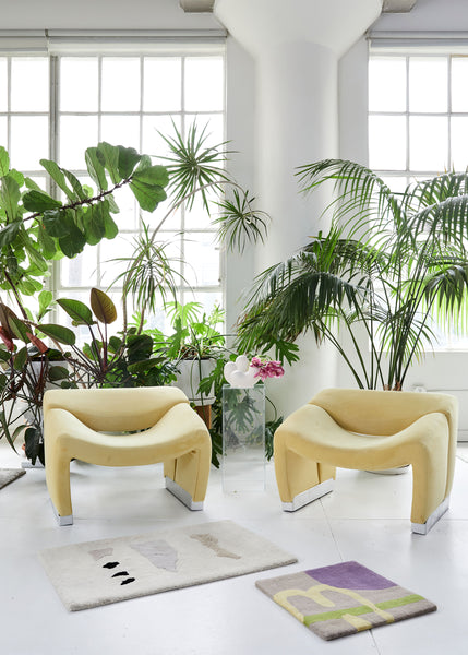 11 of the Most Popular Indoor Plants to Enliven Your Home