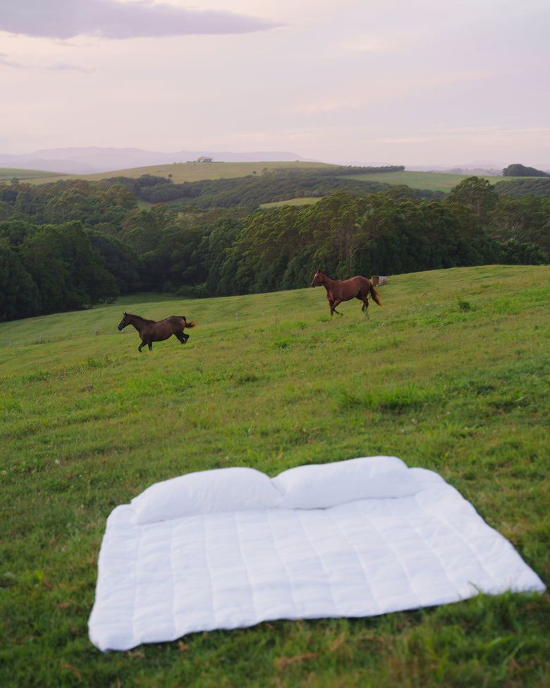 A white blanket and two pillows are laid out on green grass in a field, with dense trees and rolling hills in the background under soft, natural light.