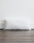 Lumbar Cushion Insert