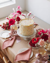 Pink Clay 100% French Flax Linen Napkins (Set of Four) - view